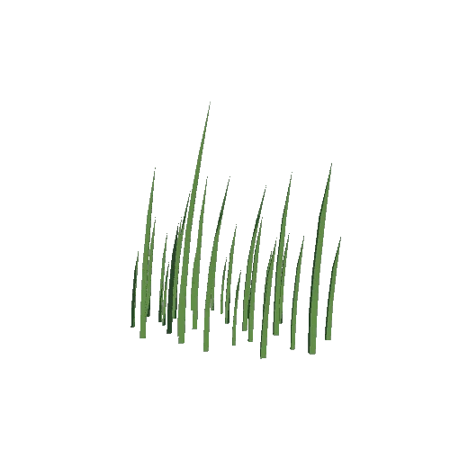 Grass 019